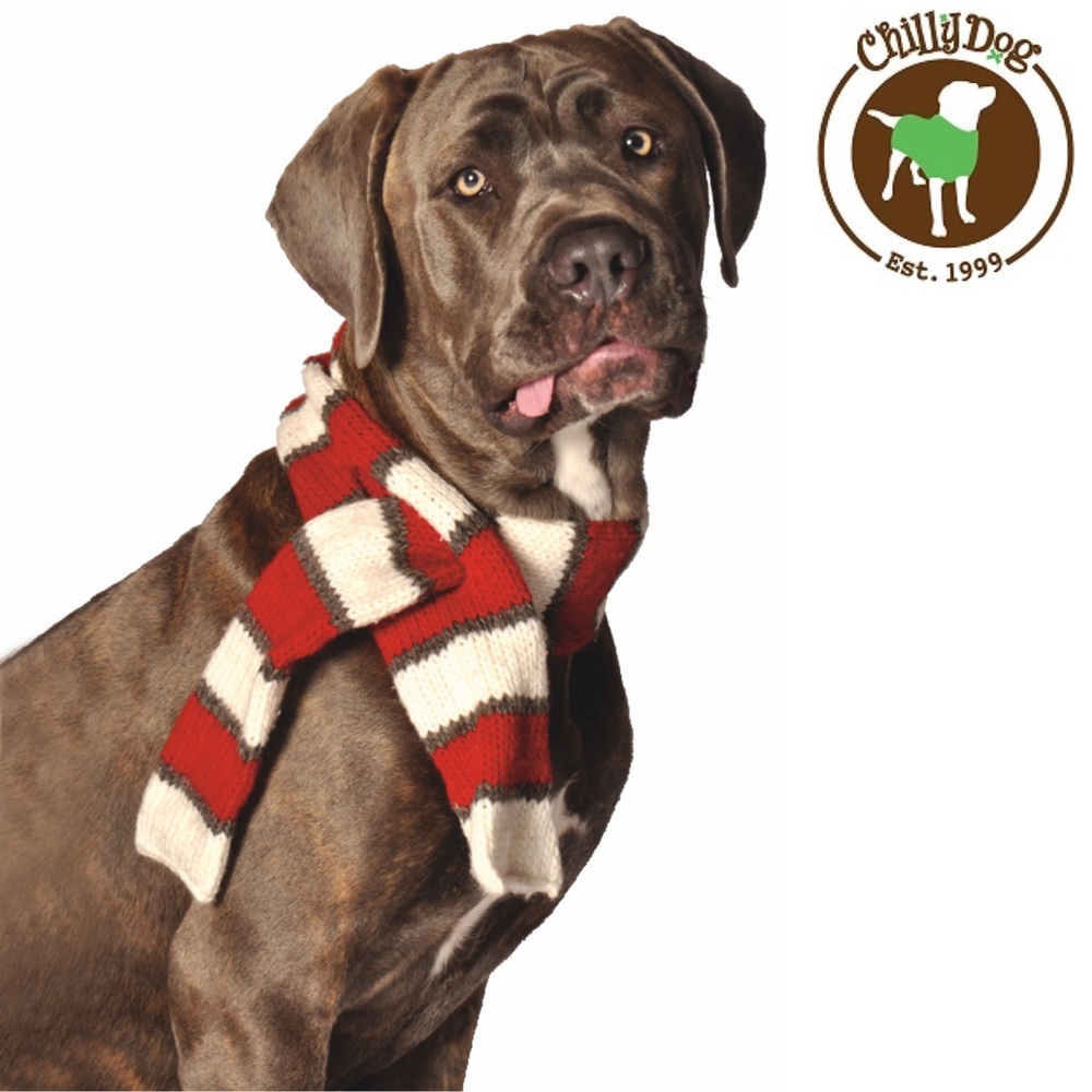 Chilly Dog Sweater Striped Scarf
